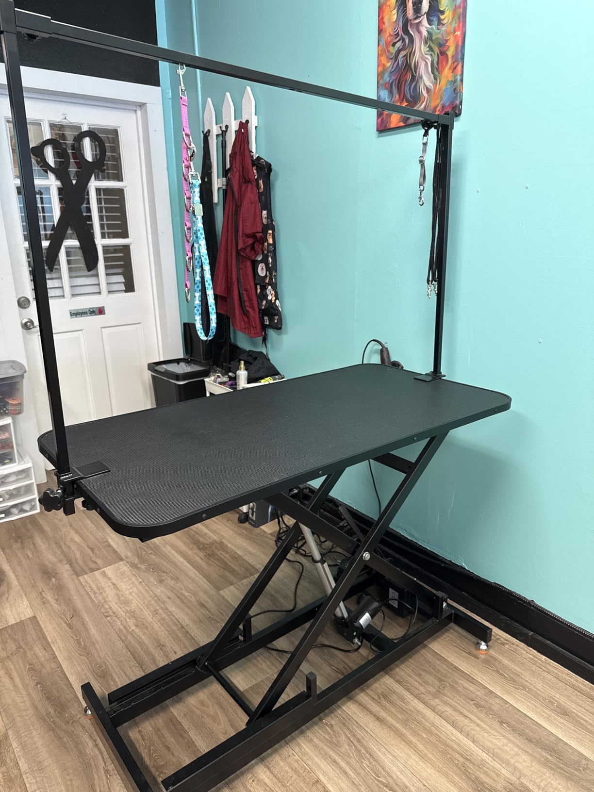 Professional Electric Grooming Table for Dogs At Home, Capacity 264 LBS Dog Grooming Table, Height Adjustable Pet Grooming Table With Dog Grooming Arm, Anti Slip Tabletop, Tool Organizer customer photo 1