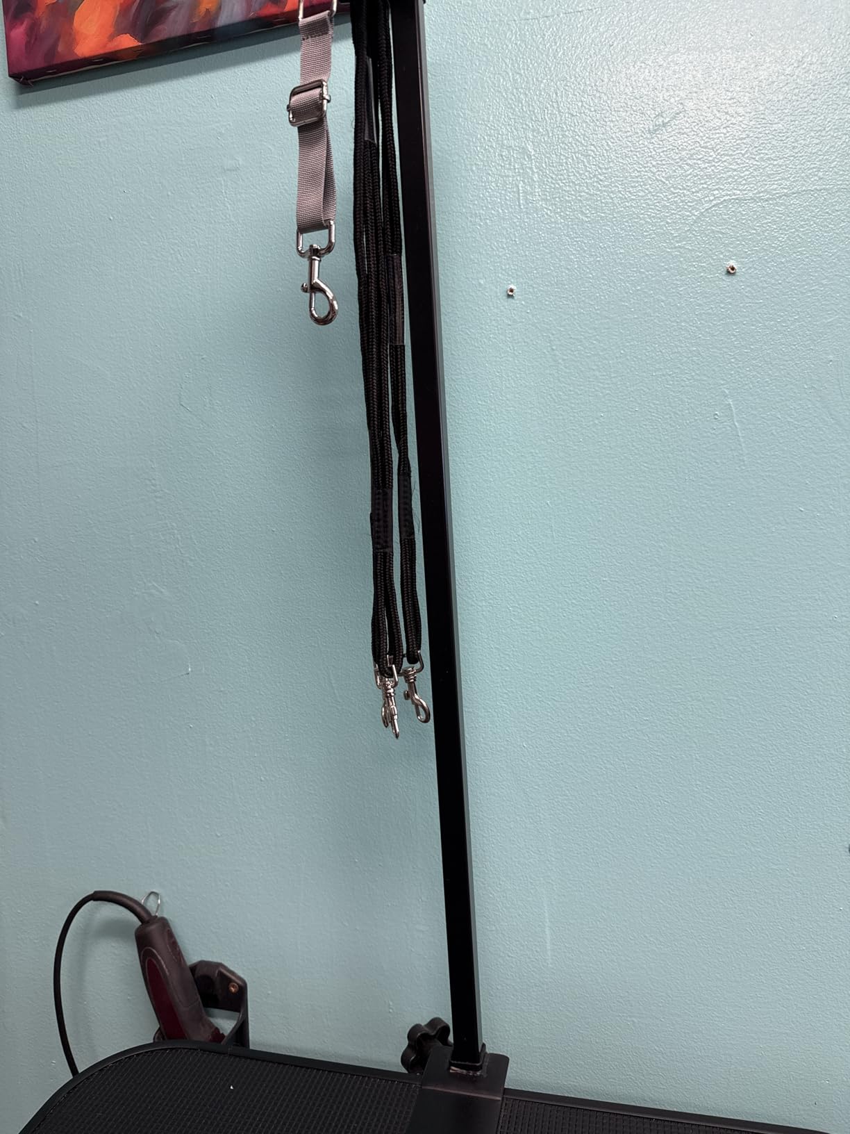 Professional Electric Grooming Table for Dogs At Home, Capacity 264 LBS Dog Grooming Table, Height Adjustable Pet Grooming Table With Dog Grooming Arm, Anti Slip Tabletop, Tool Organizer customer photo 2