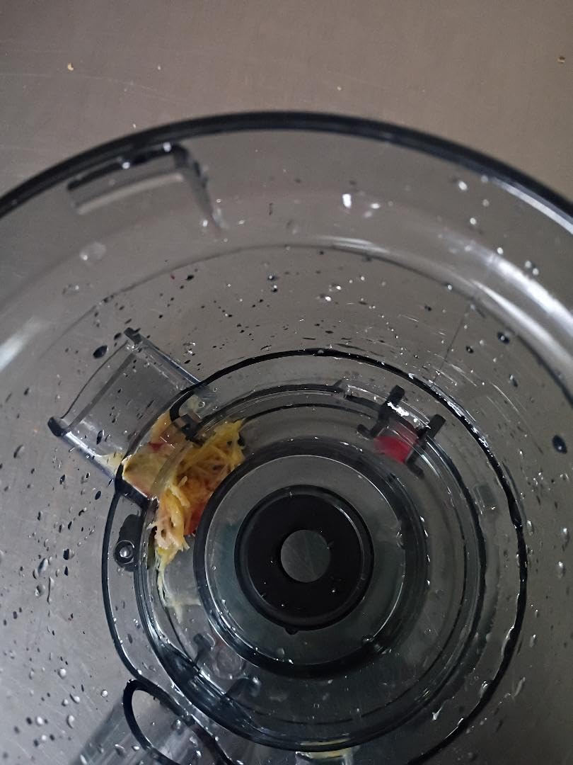 Cold press Juicer Machines with 5.4