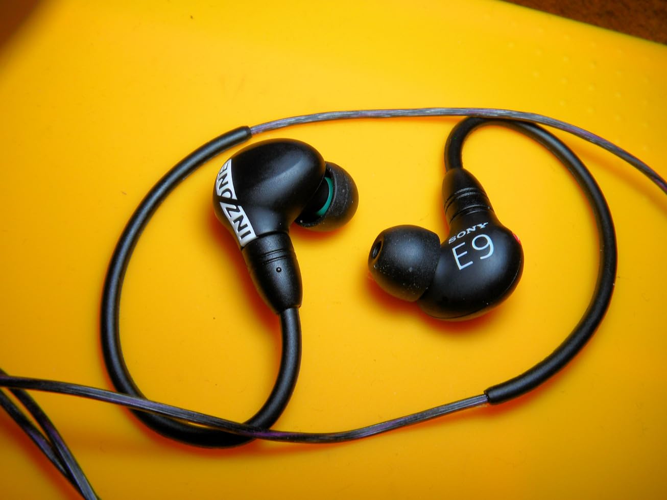 Sony INZONE E9 Wired in-Ear Monitor for Gaming, Tuned for FPS Games, Sound Isolating Earbuds, Comfortable Fit, Low Profile Design, 360 Spatial Sound, Case Included, Developed with Fnatic, Black customer photo 2