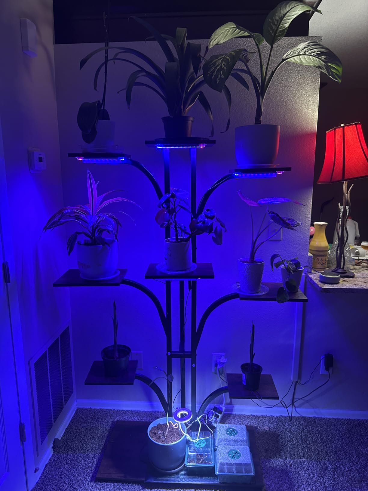 ikkle Plant Stand Indoor with Grow Lights, 64