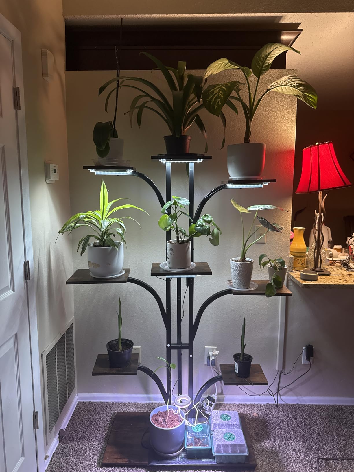 ikkle Plant Stand Indoor with Grow Lights, 64