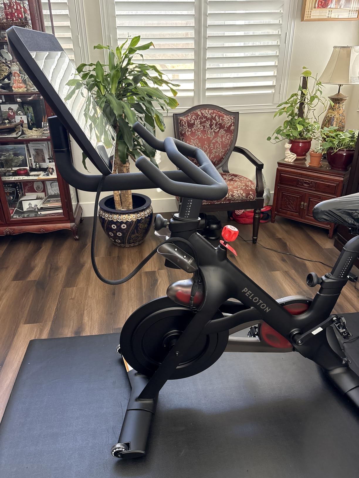 Peloton Bikes, Indoor Exercise bikes for Cardio and Strength Training customer photo 2