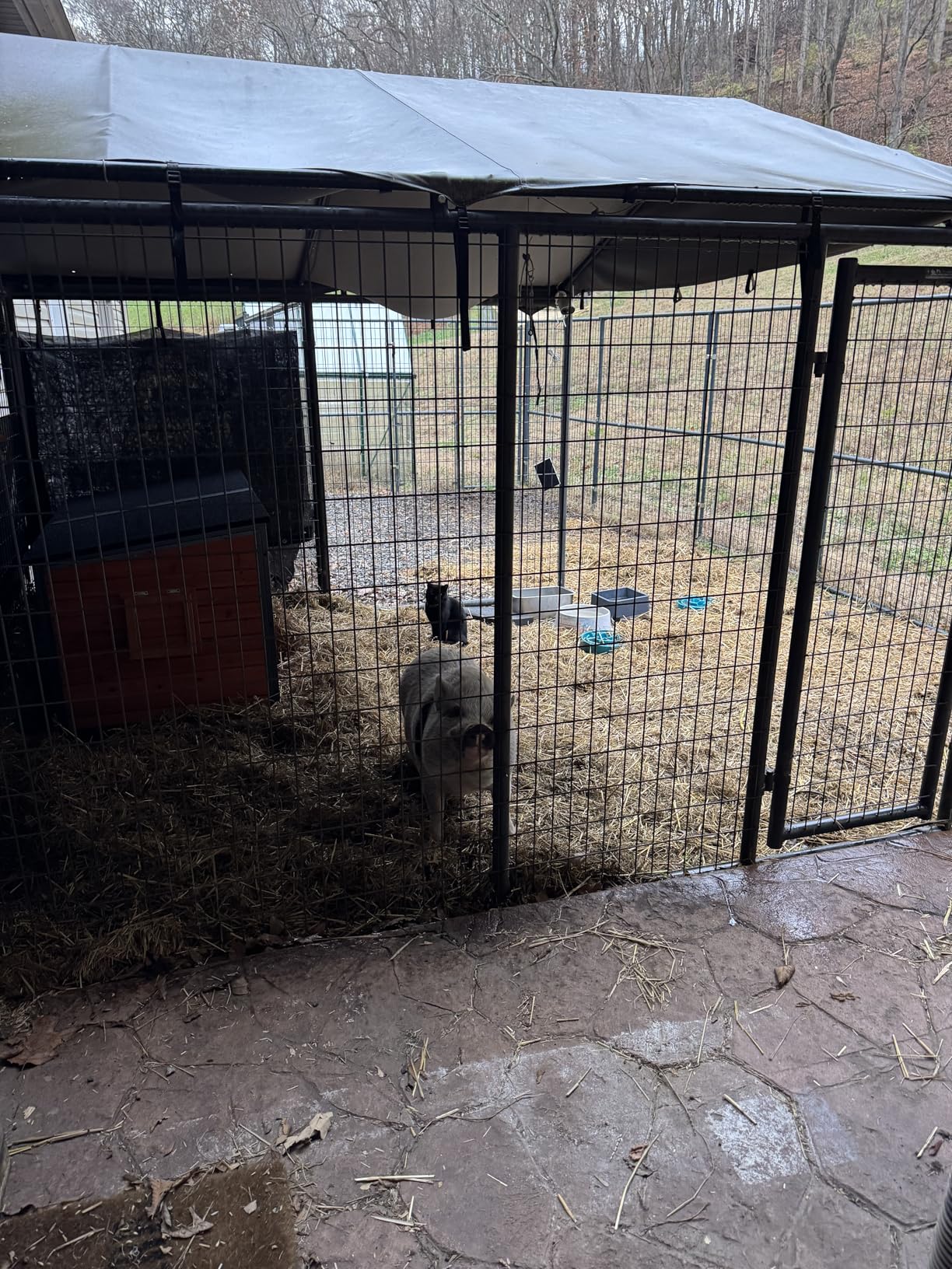 Extra Large Dog House Outdoor Weatherproof Dog Shelter Large Wooden Insulated Houses with Upgrade Anti-Chewing Iron Frame customer photo 2