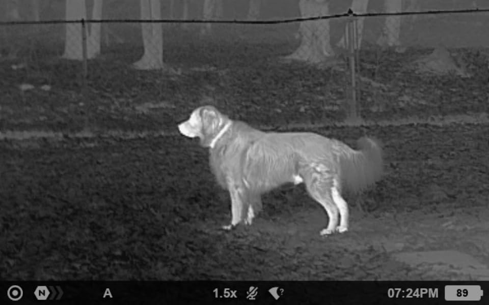 Pulsar Axion XQ19 Compact Thermal Imaging Monocular customer photo 2