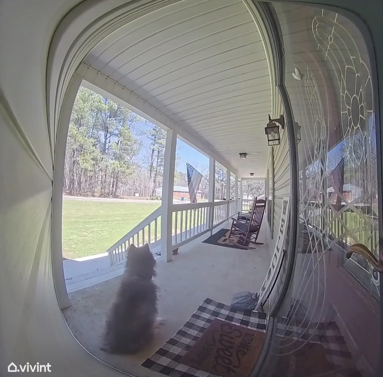 Halo Collar 5 Wireless Dog Fence & GPS Dog Collar, Keep Your Dog Safely Contained Outdoors with App-Controlled Boundaries and Real-Time Tracking, One Size, Orchid customer photo 1