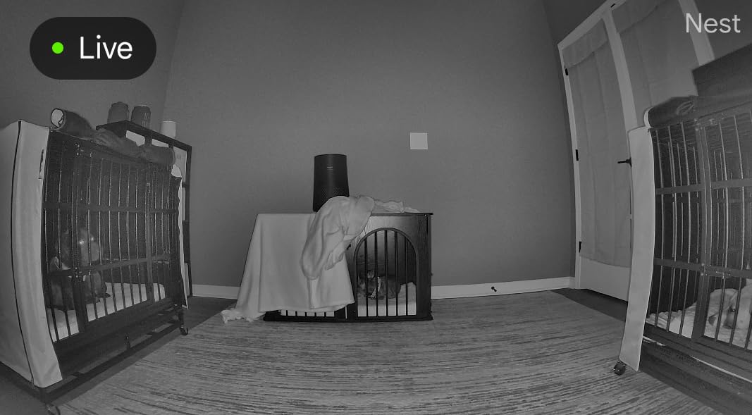 Google Nest Cam Indoor (Wired, 3rd Gen) - Security Camera with 2K Video and Gemini, Night Vision, 2-Way Audio, Works with Google Home - 2025 Model - Snow customer photo 1