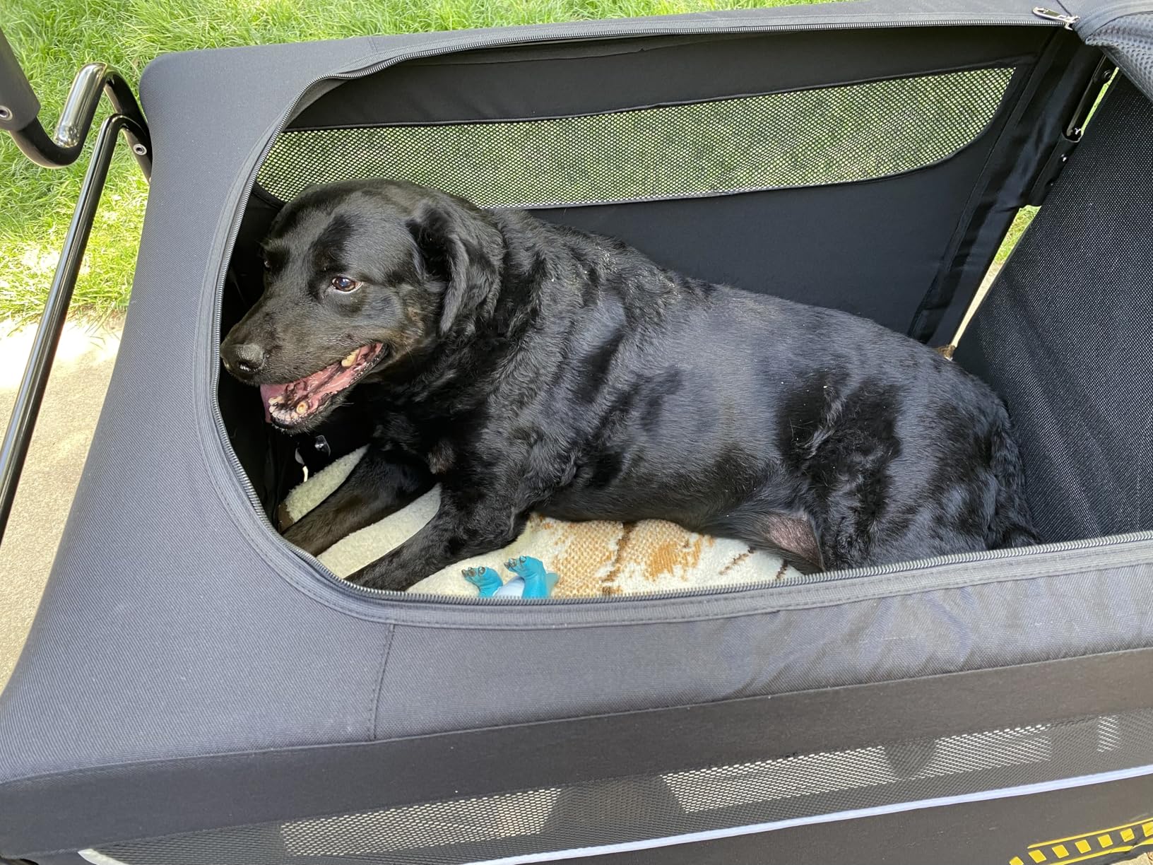 All Terrain Pet Stroller for Medium & Large Dogs with Ramp, Foldable Dog Stroller with Brakes, 3 Entrances, Dual Adjustable Handles with Reversible Push, 160lbs Weight Capacity customer photo 1