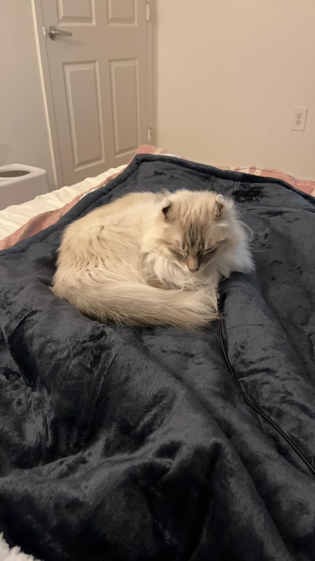 Heated Throw Blanket with 1-9 hrs Timer Auto-Off & 8 Heating Levels, Flannel Electric Blanket Throw ETL Certification, Machine Washable Full Body Warming Blankets customer photo 2