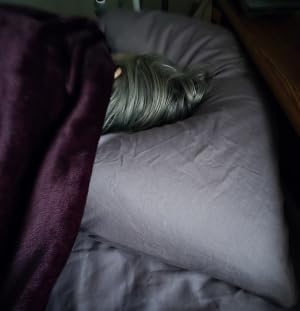 COZSINOOR Goose Feather Pillows Queen Size Set of 2 - Hotel Down Bed Pillow for Sleeping, Soft 600 TC Cotton Cover, Fluffy Support Surround Fill Down Alternative for Back, Stomach, Side Sleepers customer photo 2