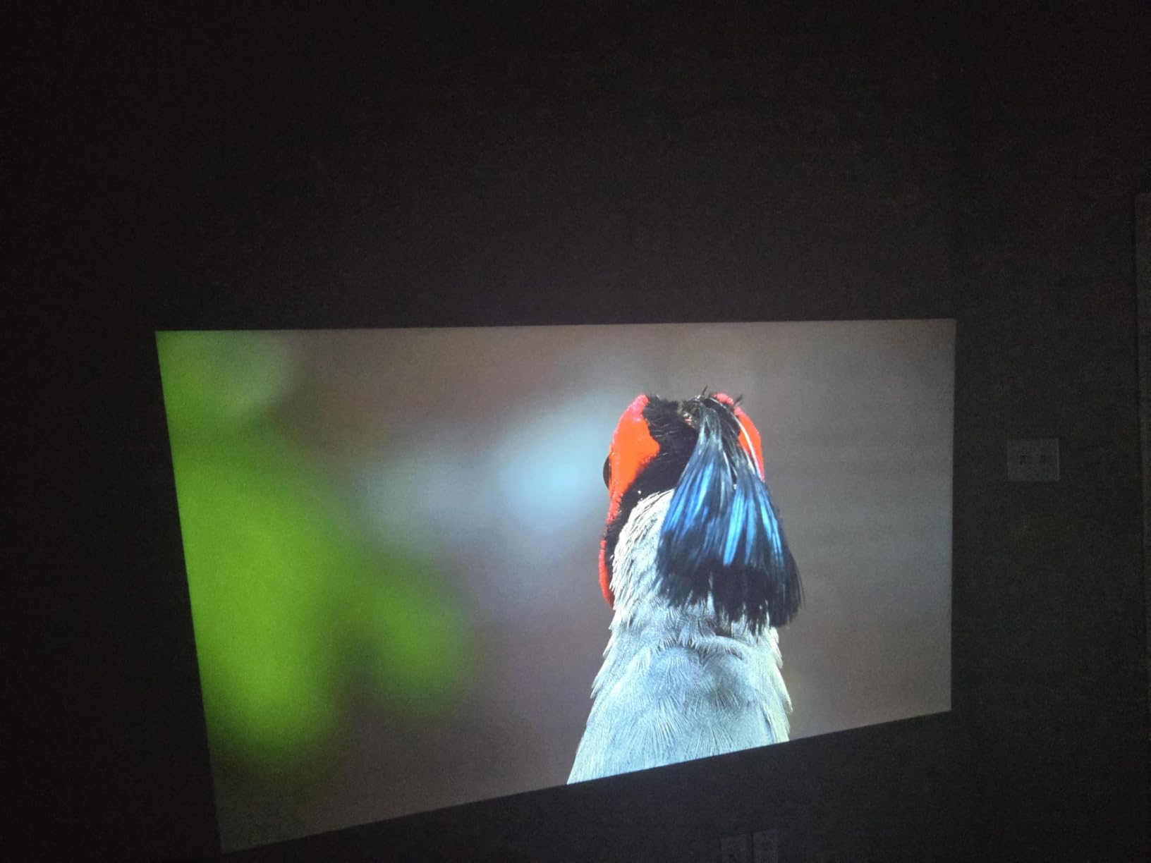 VISSPL 2200ANSI & Officially-Licensed APP Smart 4K Projector with WiFi and Bluetooth, 3D Dolby Audio and Auto Focus Portable Outdoor Projector, Movie Home Theater Proyector with 360° Adjustable Stand customer photo 1