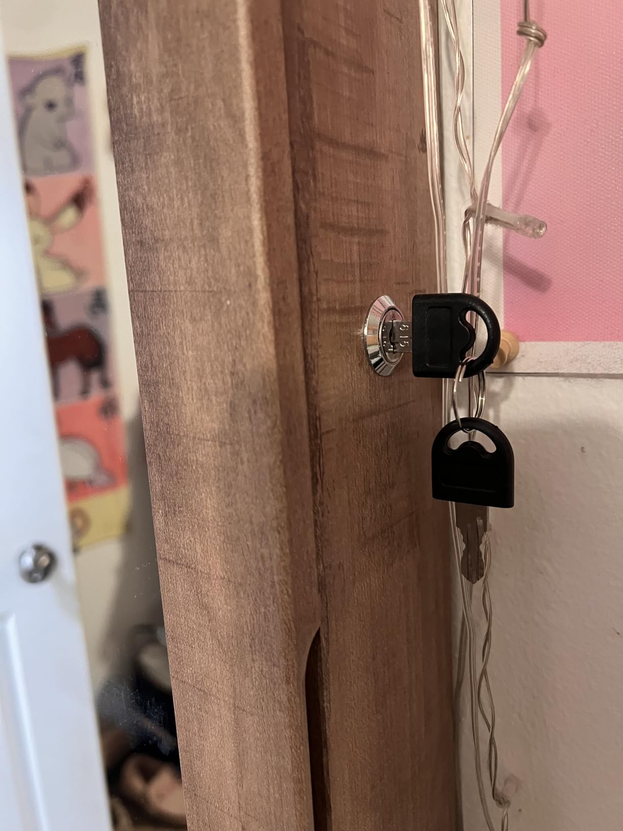 Nicetree 6 LEDs Mirror Jewelry Cabinet, Large Capacity Lockable Jewelry Armoire Organizer, Door or Wall Mounted Mirror with Jewelry Storage, Oak customer photo 2