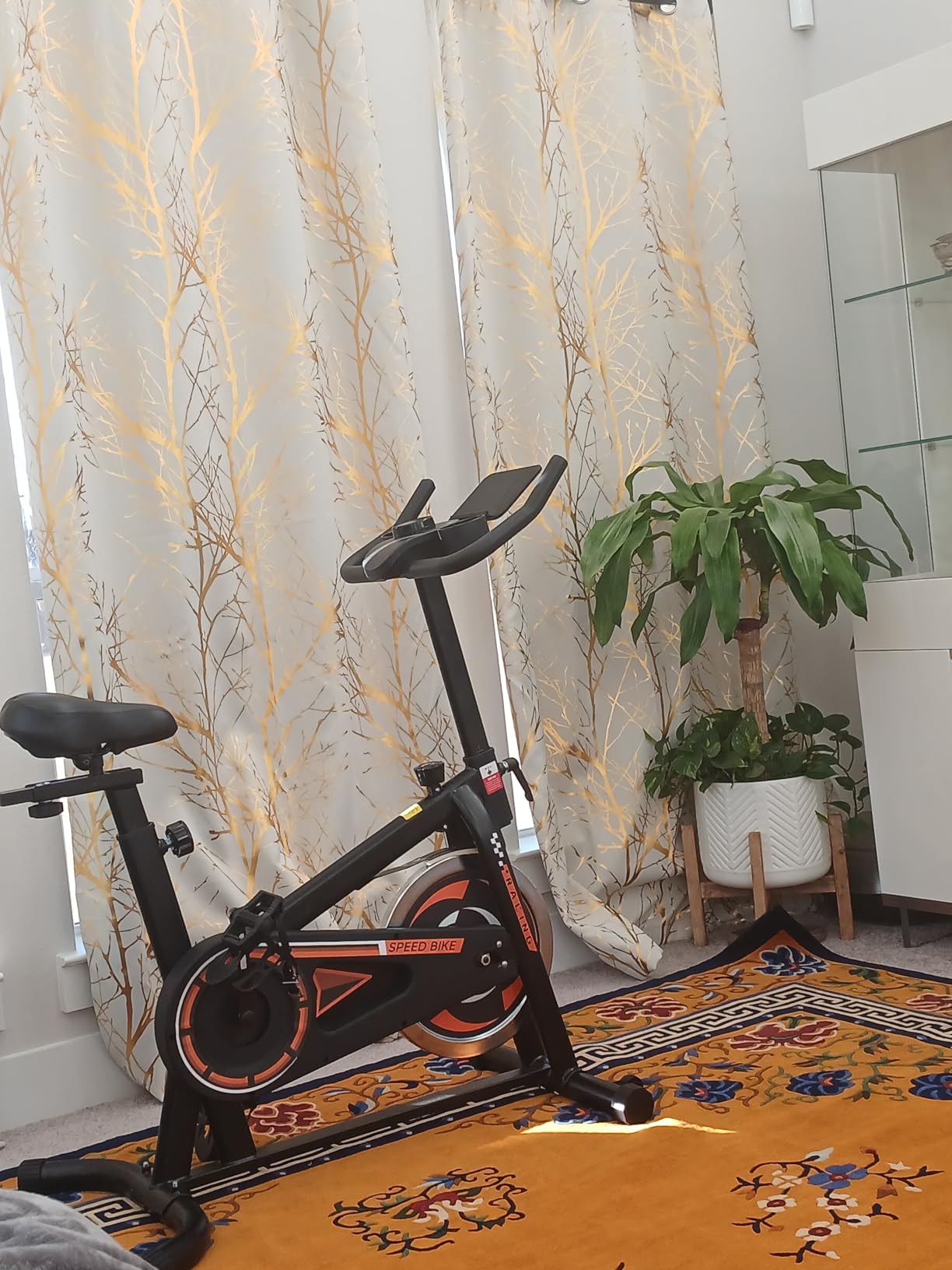 OWLSKY Exercise Bike with APP, Stationary Bike for Home, 300 lbs Capacity Quiet Indoor Cycling Bike Gym Cardio Workout, Adjustable Seat & Tablet Holder customer photo 1