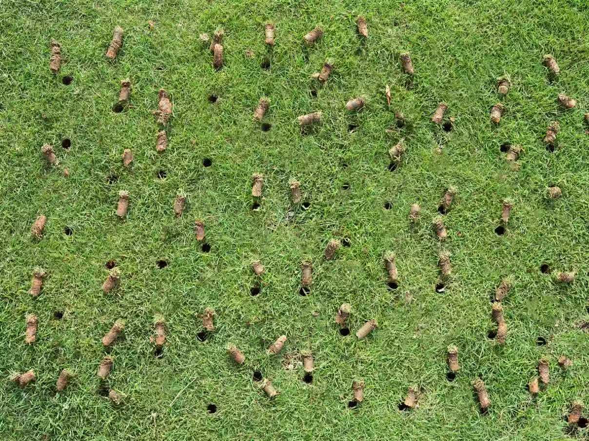 Rolling Lawn Aerator - Rolling Aerator Lawn Tool with Hollow Tines, Manual Push Lawn Aerator Roller Core Plug Aerator with Wheels, Grass Aeration Tool for Lawn Care Compacted Soil - Green customer photo 1