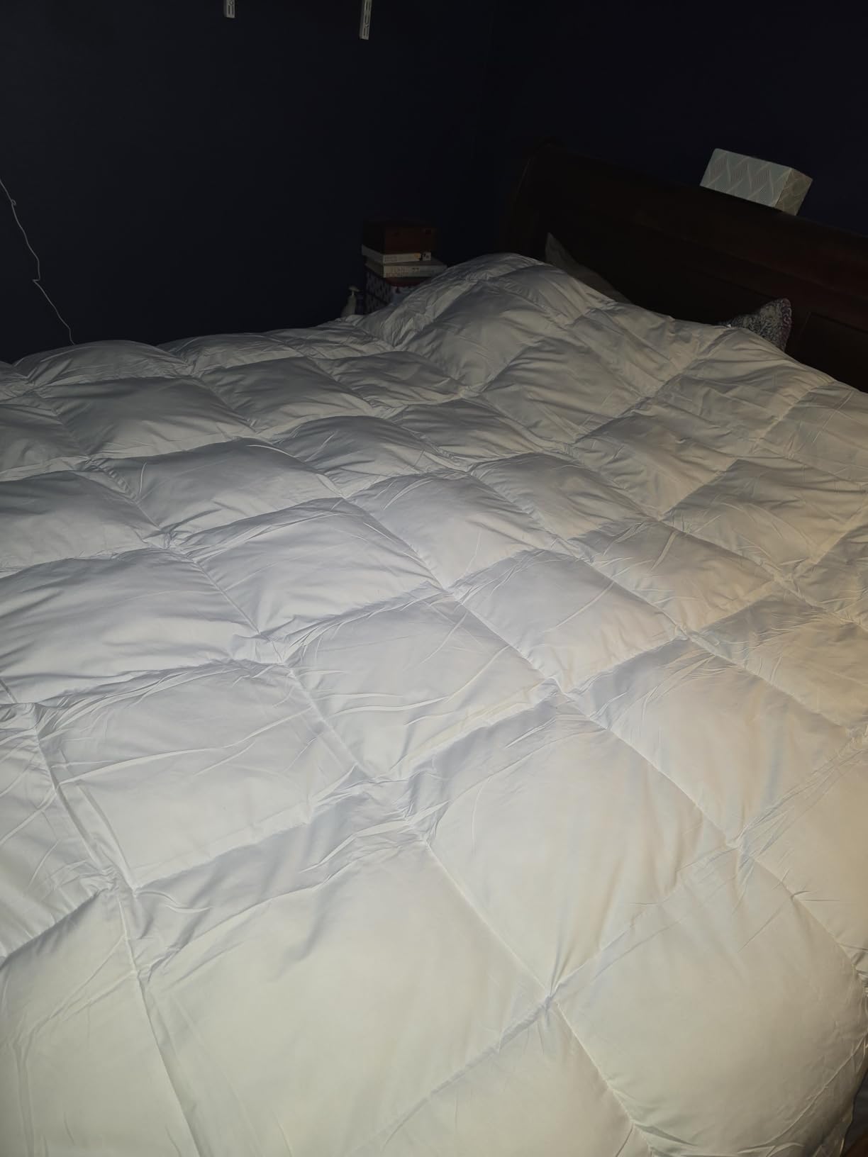 L LOVSOUL Down Comforter Queen Size, 850+ Fill Power Hotel Style Bedding Comforter, 1200TC, Fluffy Ultra Soft All Season White Duvet Insert with 8 Corner Tabs customer photo 1