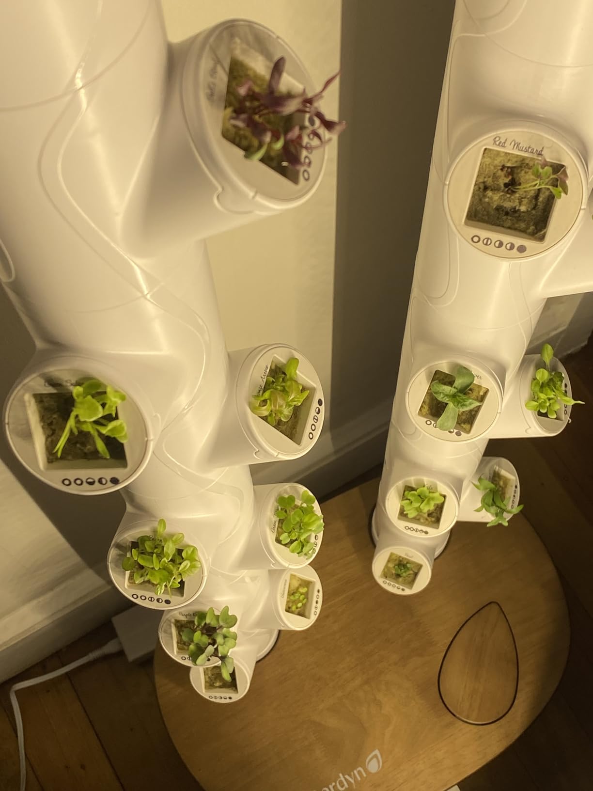 Gardyn Studio 1 Vertical Hydroponics Growing System Kit - 16 Non-GMO Plants, Herbs, Vegetables - Tower Garden - Hydroponic Herb Garden Planter Indoor Kit - Indoor Gardening System with LED Grow Lights customer photo 1