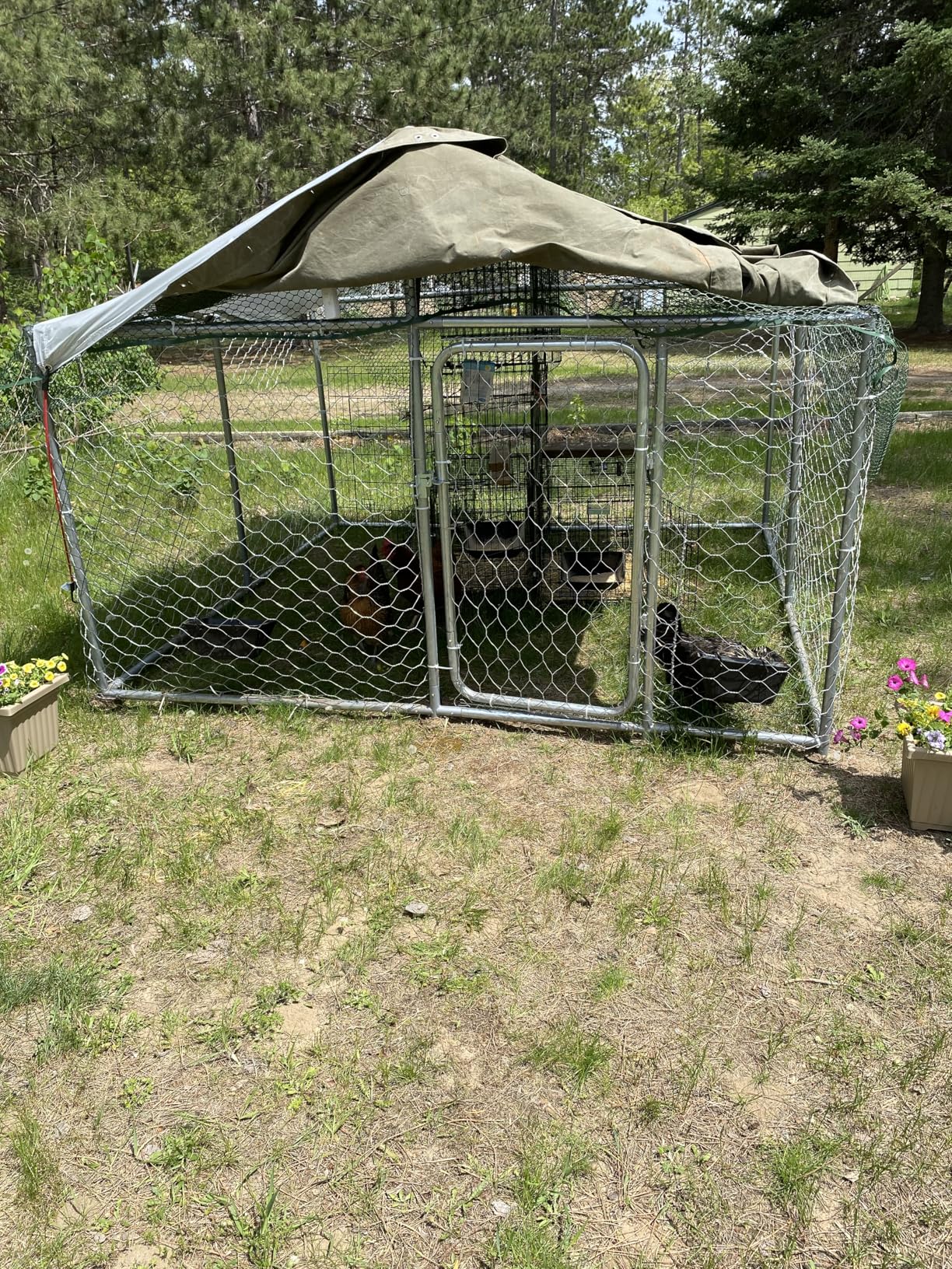 10x10 FT Outdoor Dog Kennel with Waterproof Roof - Heavy Duty Metal Exercise Pen, Weatherproof UV-Resistant Cover & Secure Locking for Large Breed Dogs (124 x 124 x 87IN) customer photo 1