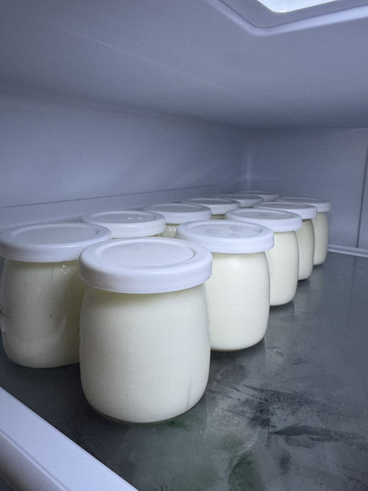 Yogurt Maker with Adjustable Temperature and 48H Timer - 6 Glass Jars for Homemade Probiotic Yogurt, for Family Wellness and Healthy Diet Lovers customer photo 2