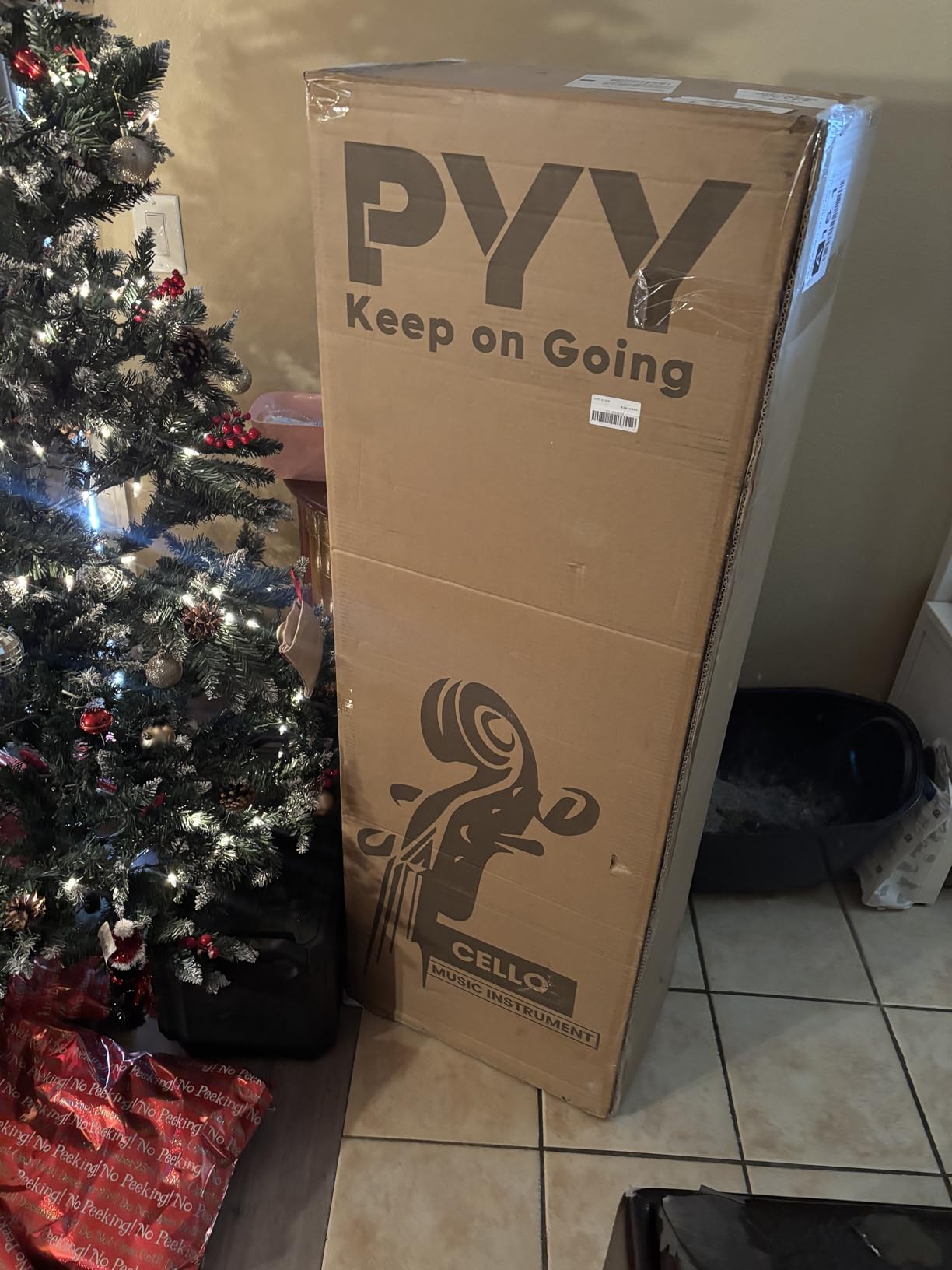 PYY Cello 4/4 Full Size - Solid Wood Acoustic Cello Package with Stand, Case, Bow, Rosin, Tuner & Extra Strings, Perfect for Students & Adult Beginners customer photo 1