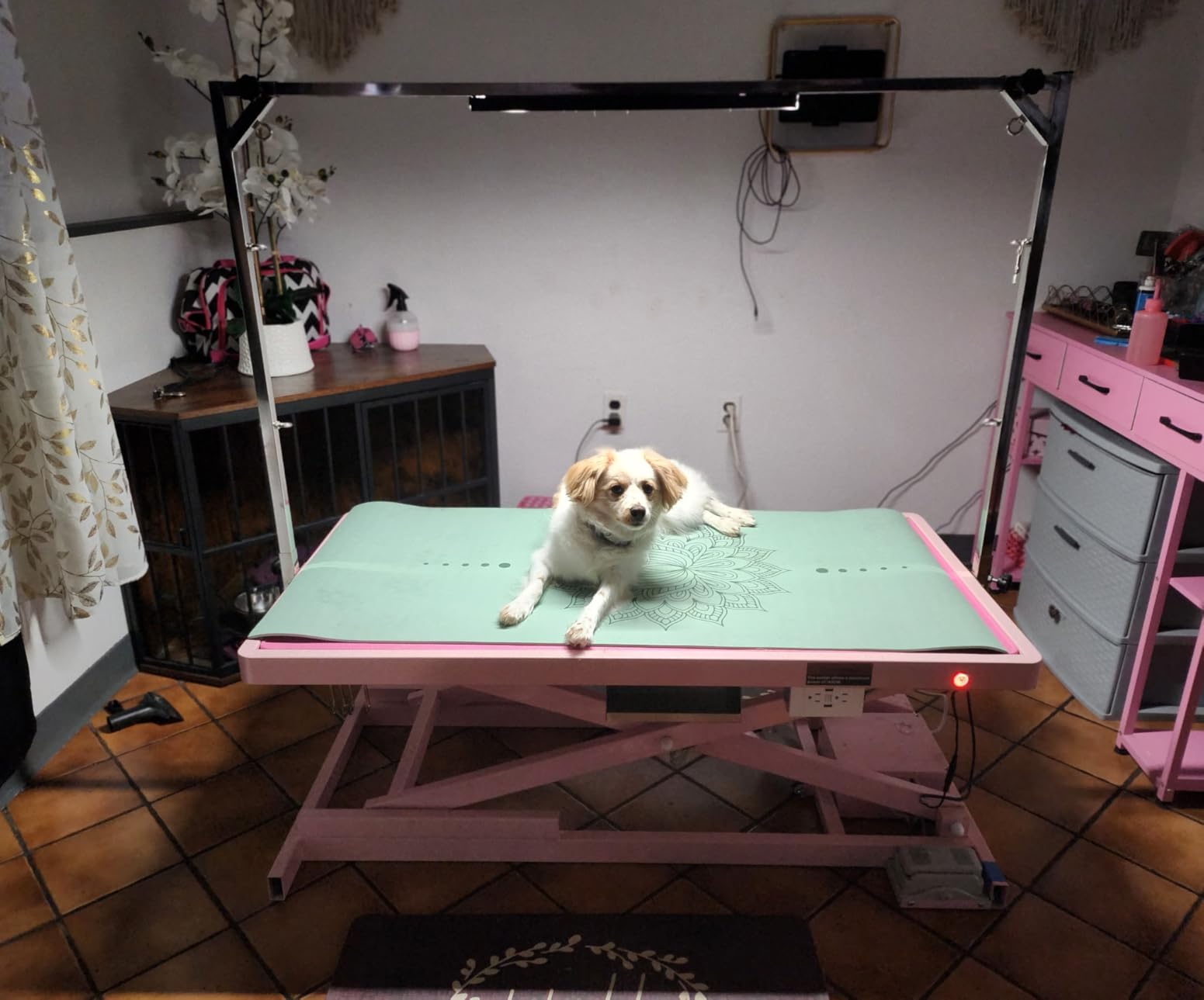 POLIMO LED Professional Electric Dog Grooming Table - 50