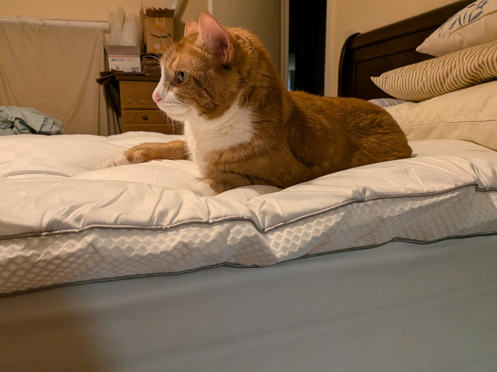 3 Inch Ultra-Fluffy Memory Foam Mattress Topper Queen for Back Pain, Soft Comfy Pillow Top Queen Mattress Topper with 4X Support customer photo 2