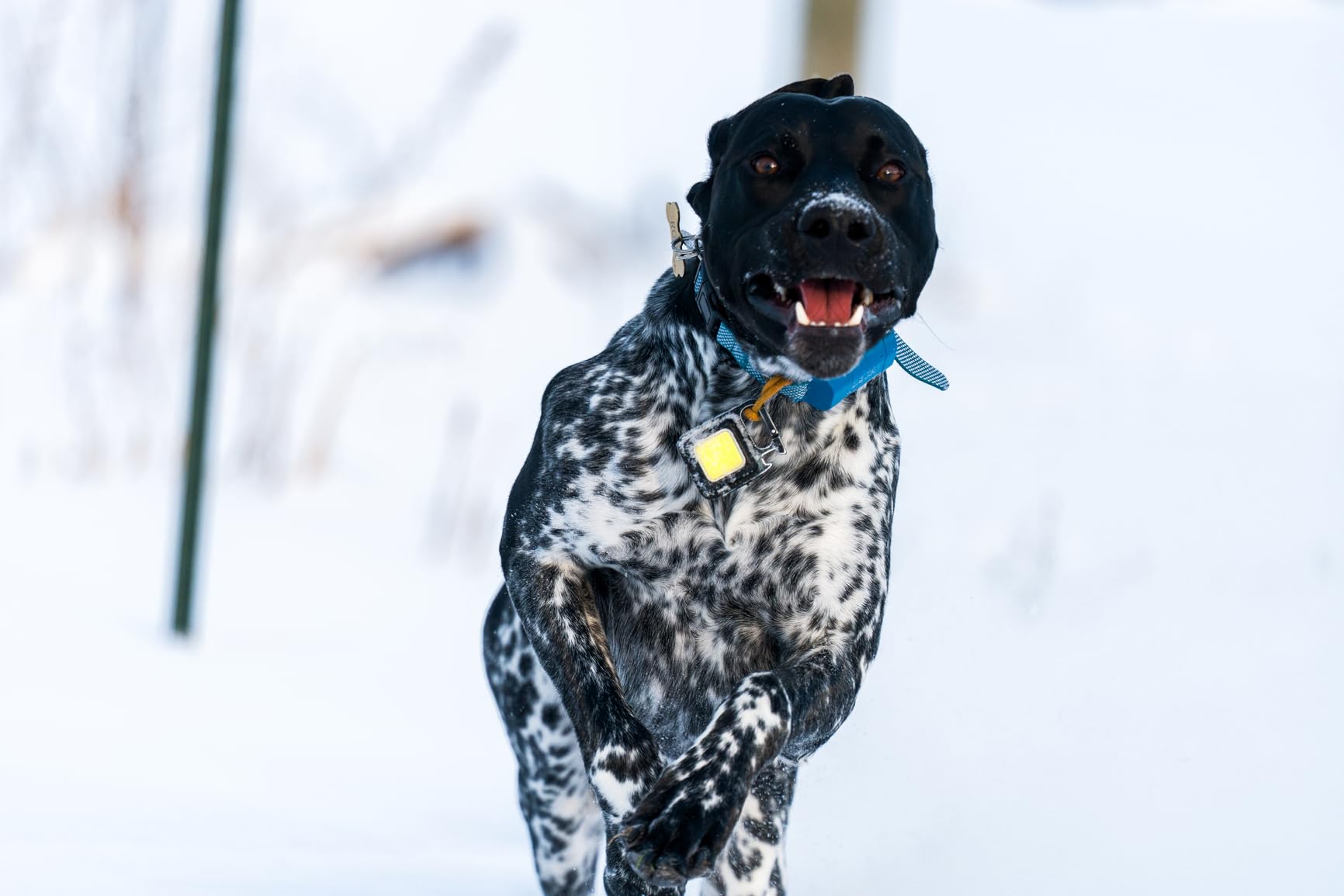 Sony Alpha 7 V Full-Frame Hybrid Mirrorless Camera: 30fps Blackout-Free Shooting, AI Autofocus, 5-Axis in-Body Stabilization (Body only) customer photo 2