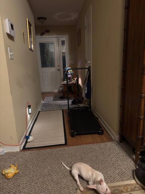 KASSADIN Walking Pad with Handle Bar, 2026 Upgrade Portable Small Treadmill with Handles, 3.0HP Under Desk Walking Pad Treadmill with Incline, 0.6-7.6MPH, 350LBS customer photo 1