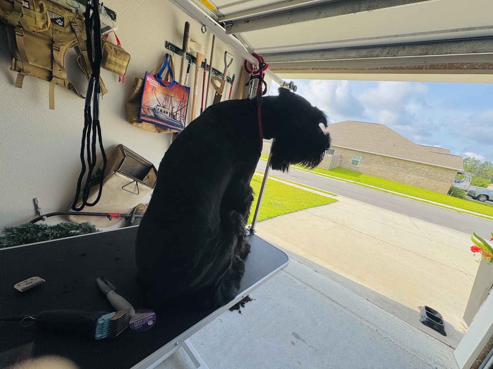 Garvee 43.3 in Hydraulic Pet Grooming Table, Professional Hydraulic Grooming Table w/Max 350 LBS Loading Capacity, 3 Adjsutable Nooses, Adjustable Height Range 22 in -39 in customer photo 1