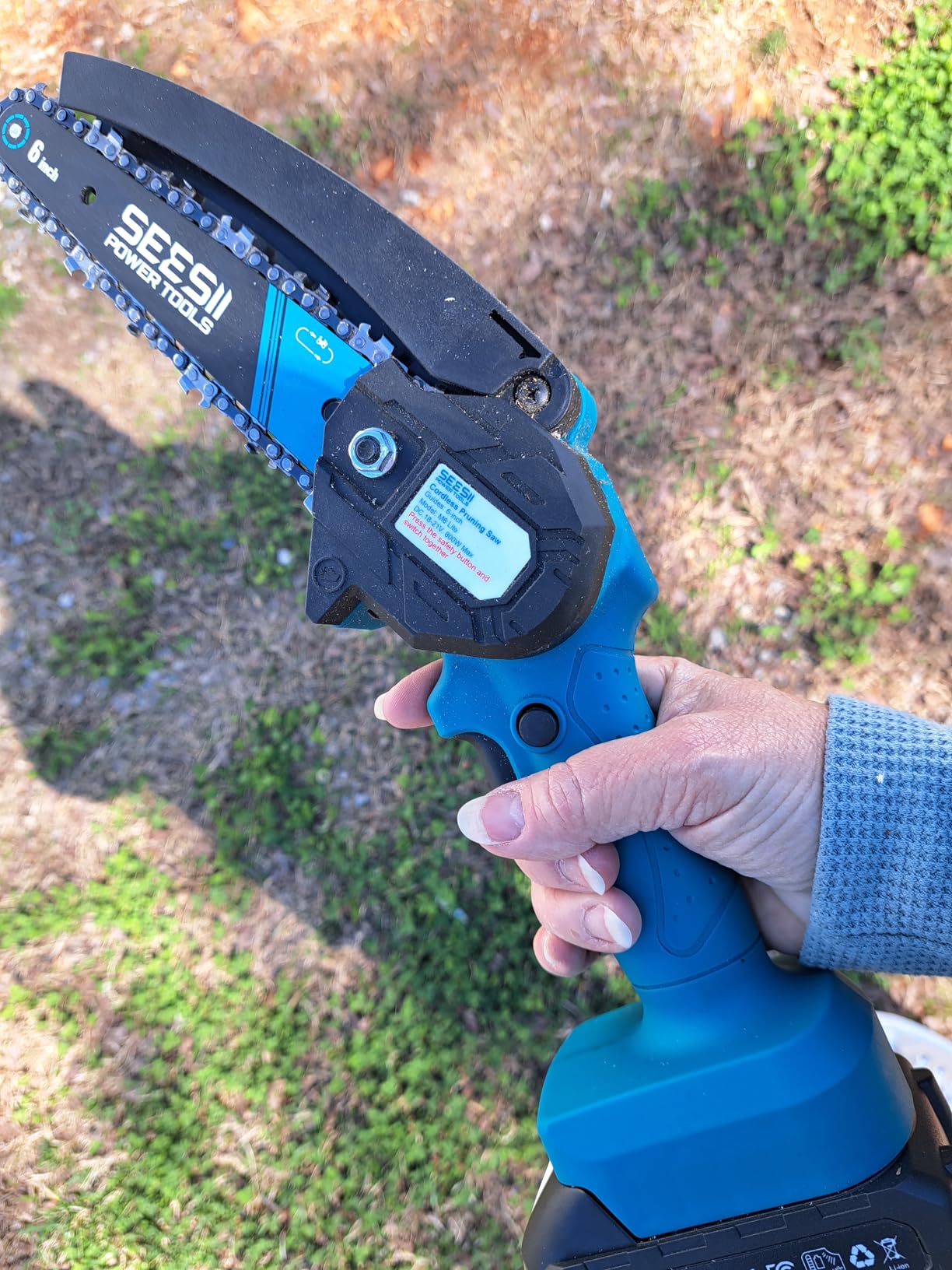 SEESII 2-in-1 Electric Pole Saws: Brushless Mini Chainsaw Cordless 6 Inch, 2 x 4000mAh Batteries, Pole Saw for Tree Trimming, Hand held Chain Saw with Extension Pole for Tree Limb Branch Cutter, P6 Ace customer photo 1