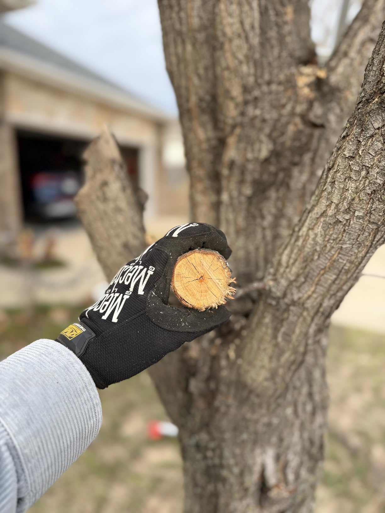 SEESII 2-in-1 Electric Pole Saws: Brushless Mini Chainsaw Cordless 6 Inch, 2 x 4000mAh Batteries, Pole Saw for Tree Trimming, Hand held Chain Saw with Extension Pole for Tree Limb Branch Cutter, P6 Ace customer photo 2