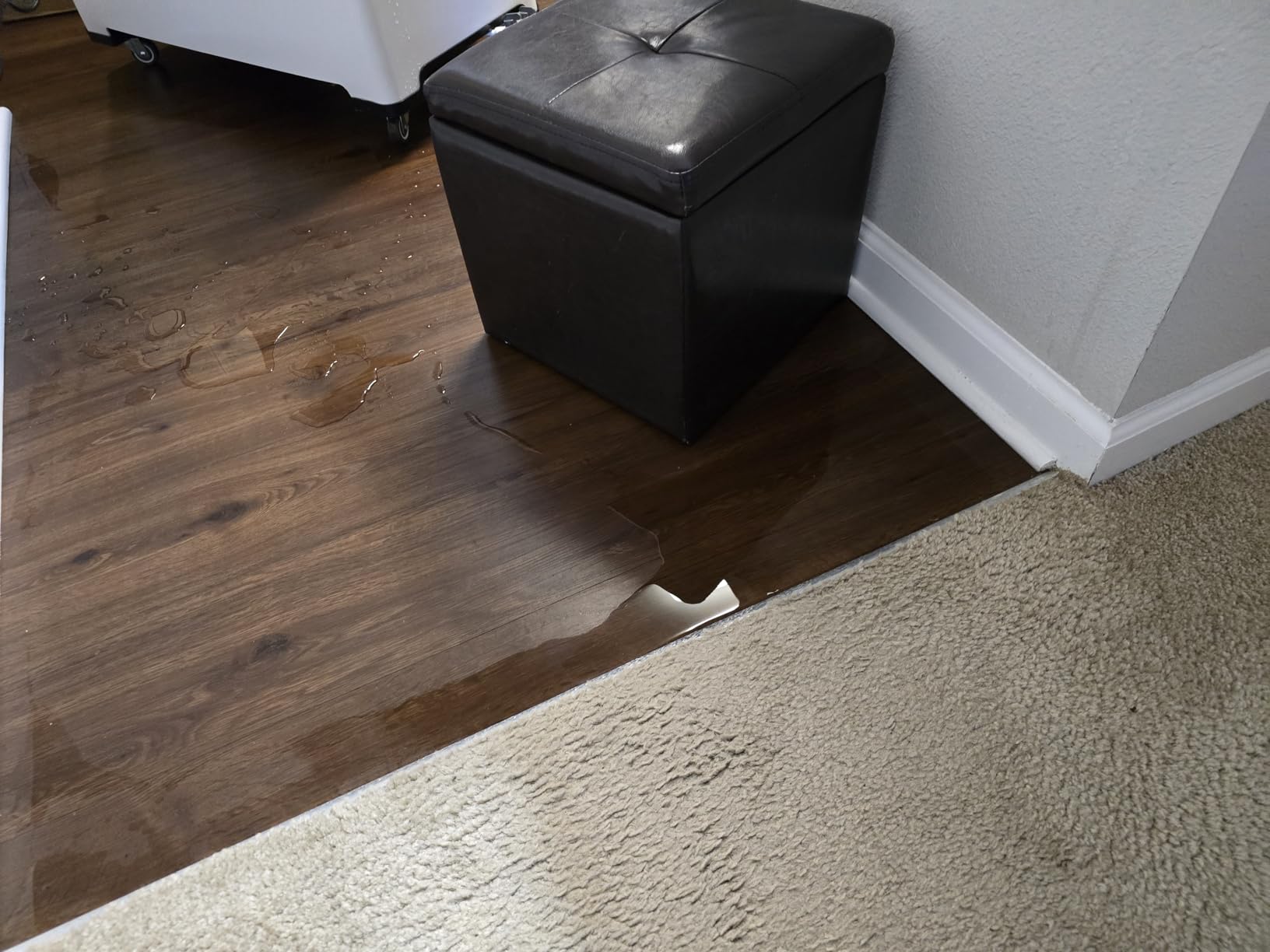 Large Hydroponics Growing System, 148-Pod Vertical Indoor Garden, Hydroponic Tower with Full-Spectrum Grow Lights, Ultra-Quiet Pump, Dual Water Tanks, 30-Day Self-Managed for Home & Commercial customer photo 2