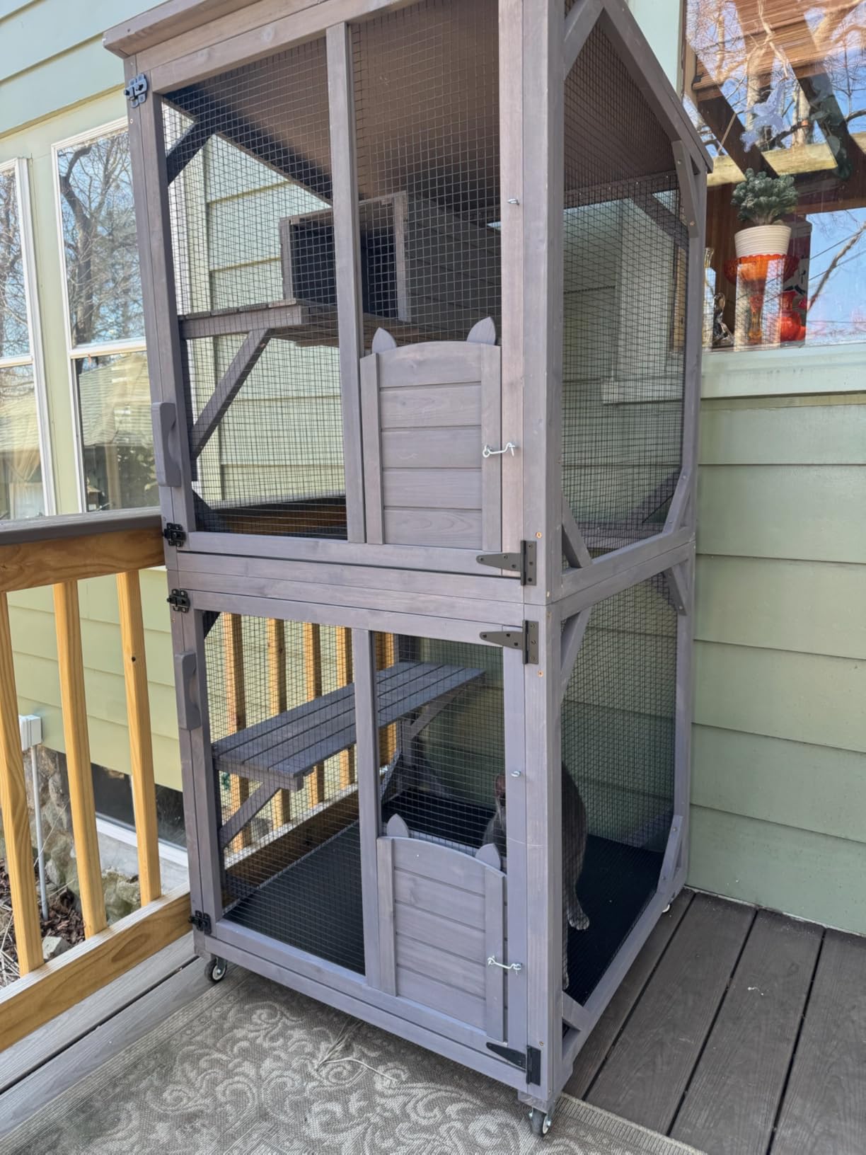 Aivituvin Catio Cat Enclosure Large Window Cat House for Outdoor Cats, Walk-in Kitty Cage with Tarp Roof, 7 Platforms, 2 Resting Boxes, Indestructible Feral Cat Shelter for Backyard - Grey customer photo 2
