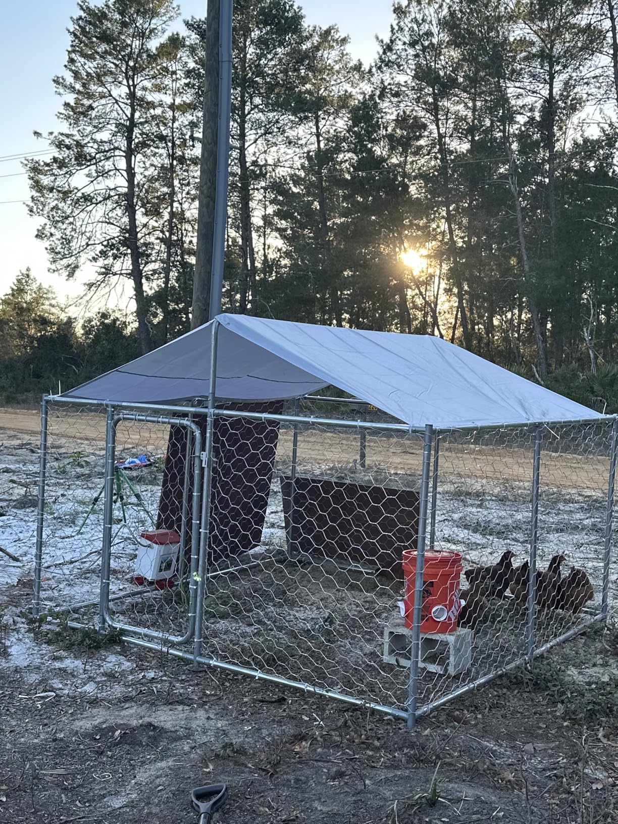 15.3x15.3 FT Large Outdoor Dog Kennel Outside,Heavy Duty Dog Enclosure with Waterproof Cover Roof and Security Lock(183.1x183.1x83.1in) customer photo 1
