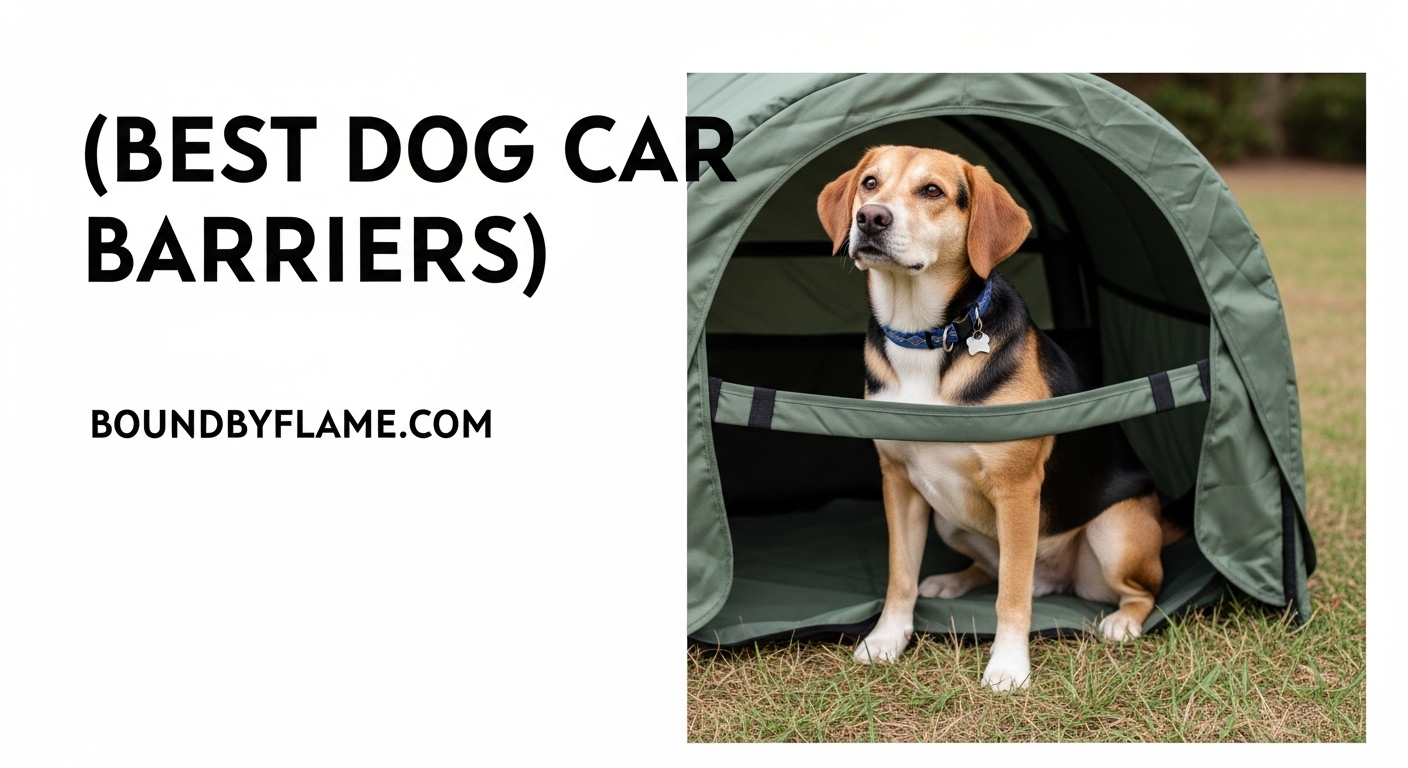 Best Dog Car Barriers