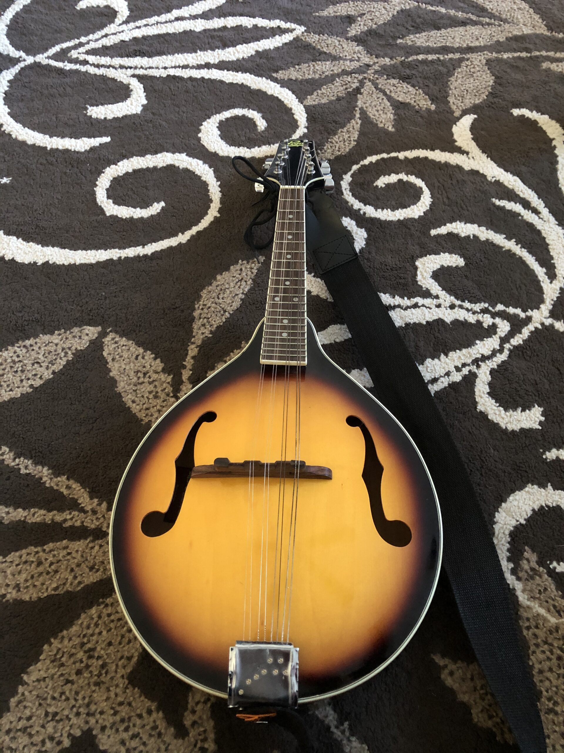 Rogue RM-100A A-Style Mandolin Sunburst customer photo 1