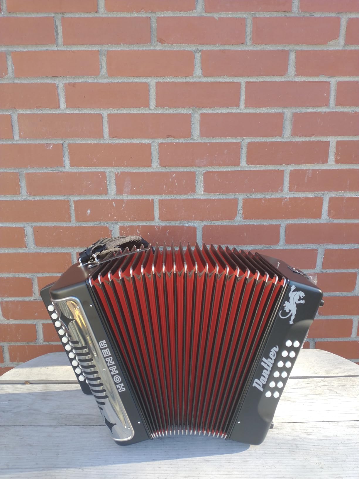 Hohner Panther G/C/F 3-Row Diatonic Accordion - Black customer photo 2