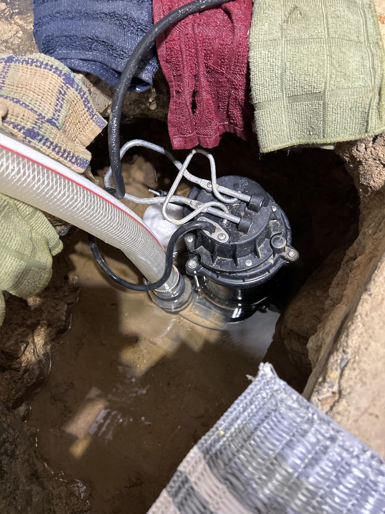 WAYNE CDU790 1/3 HP Submersible Cast Iron and Stainless Steel Sump Pump with Integrated Vertical Float Switch - Up to 4,600 Gallons Per Hour customer photo 1