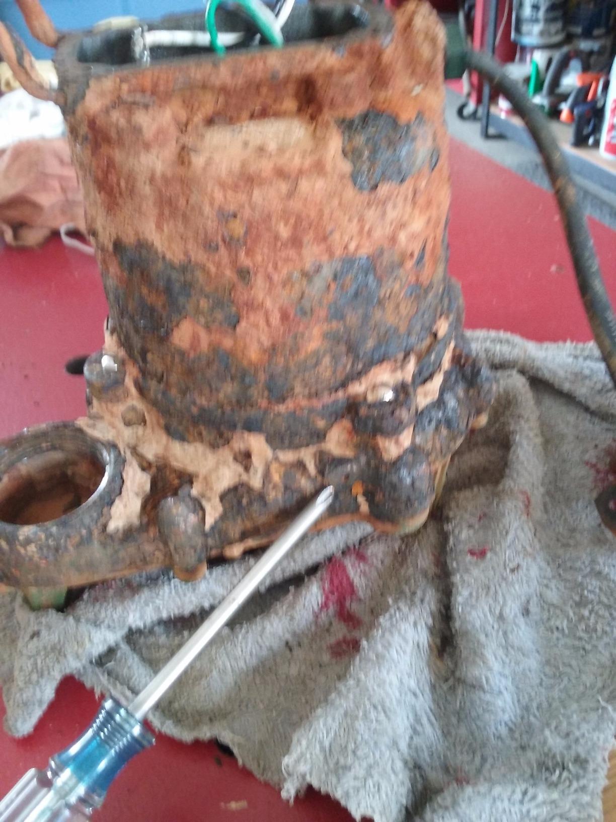 Zoeller M53 Mighty-mate Submersible Sump Pump, 1/3 Hp customer photo 2