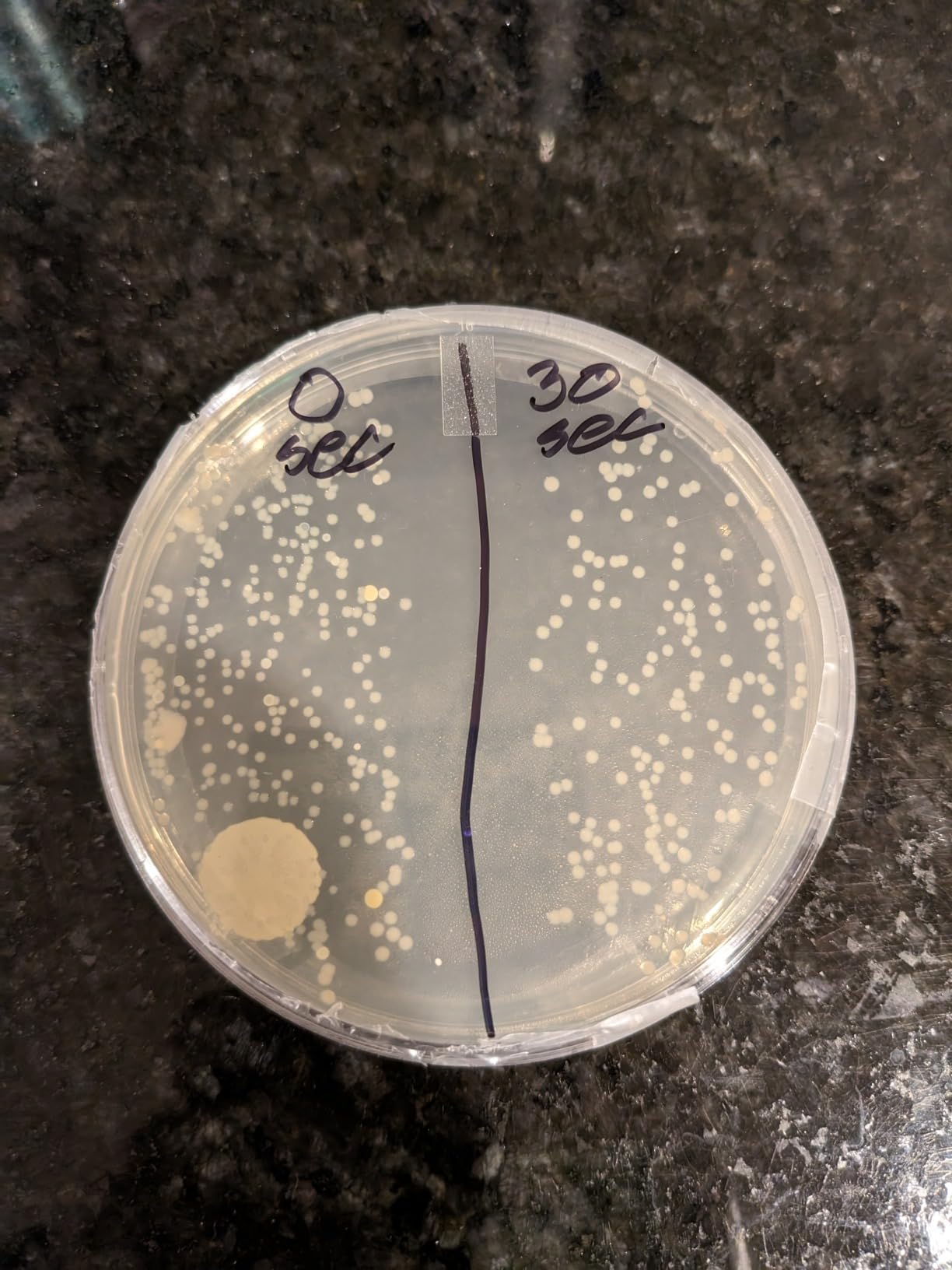 Verilux CleanWave VH03 Portable Sanitizing Travel Wand - UV-C Technology - Kills Germs and Bacteria customer photo 1