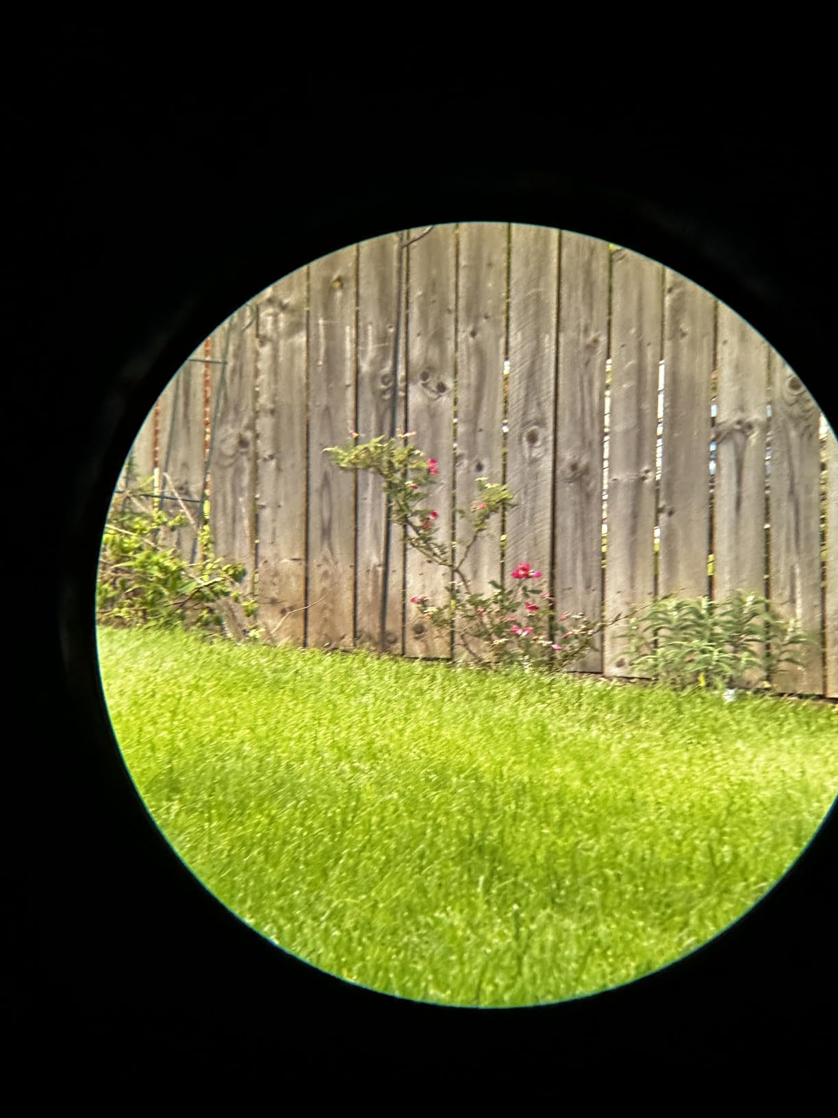 Vortex Optics Solo Monocular 10x36 - Utility Clip, Adjustable Eyecup, Fully Multi-Coated Lenses, Rubber Armor, Non-Slip Grip, Fogproof, Waterproof - Unlimited, Unconditional Warranty customer photo 1