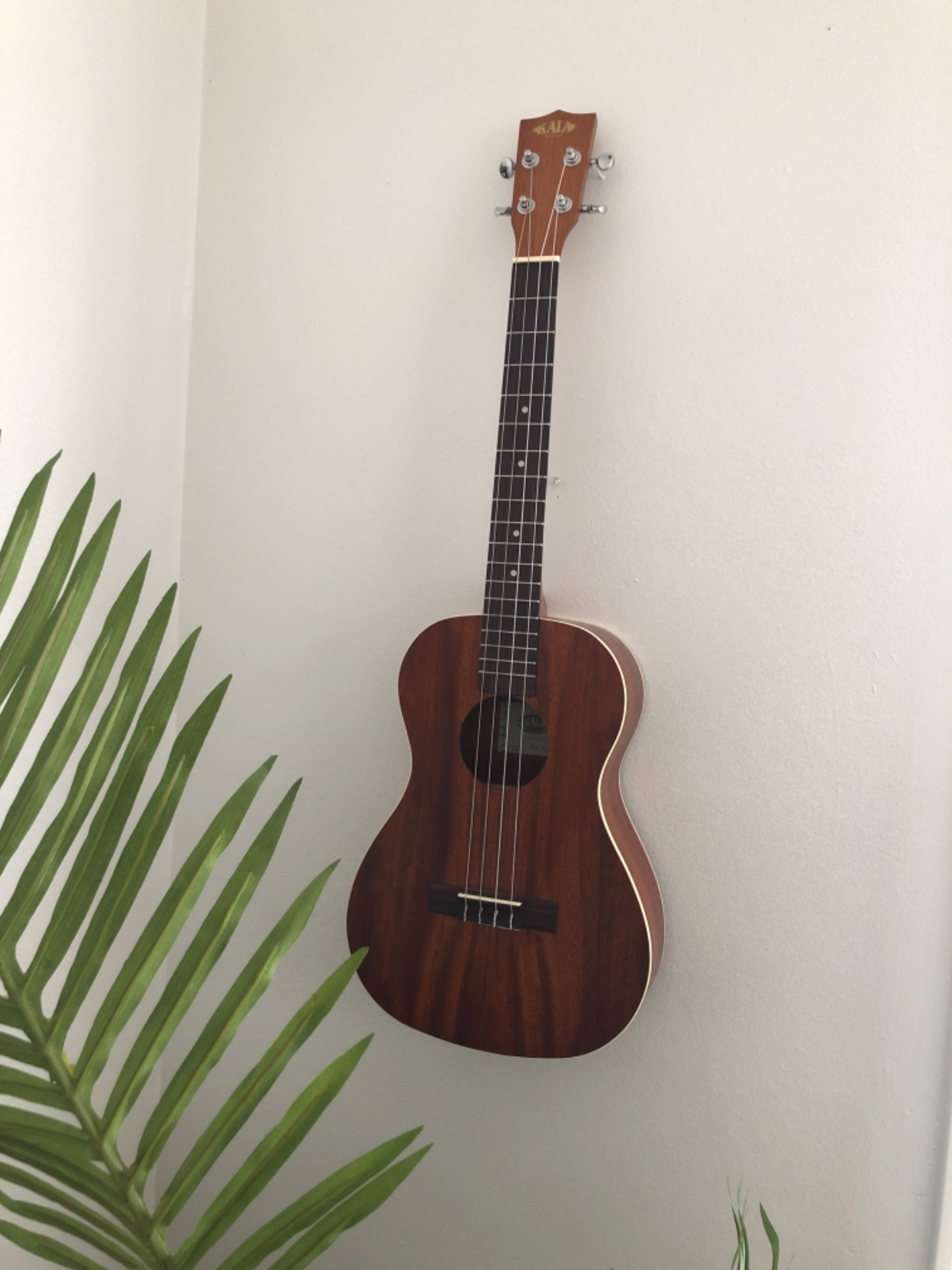 Kala KA-BE Mahogany Baritone Ukulele with EQ customer photo 2