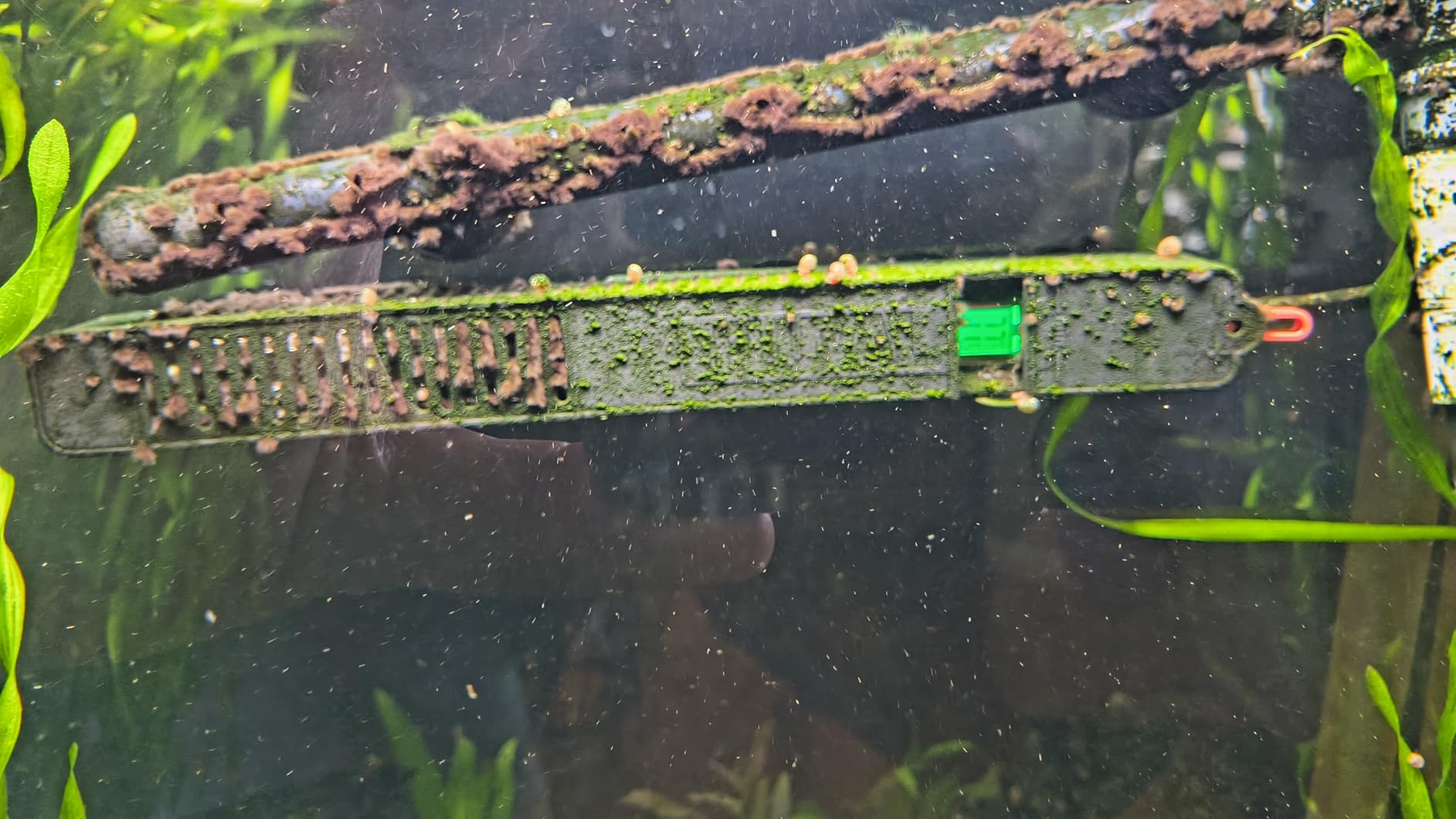 Fluval E 300 Watt Electronic Heater customer photo 2