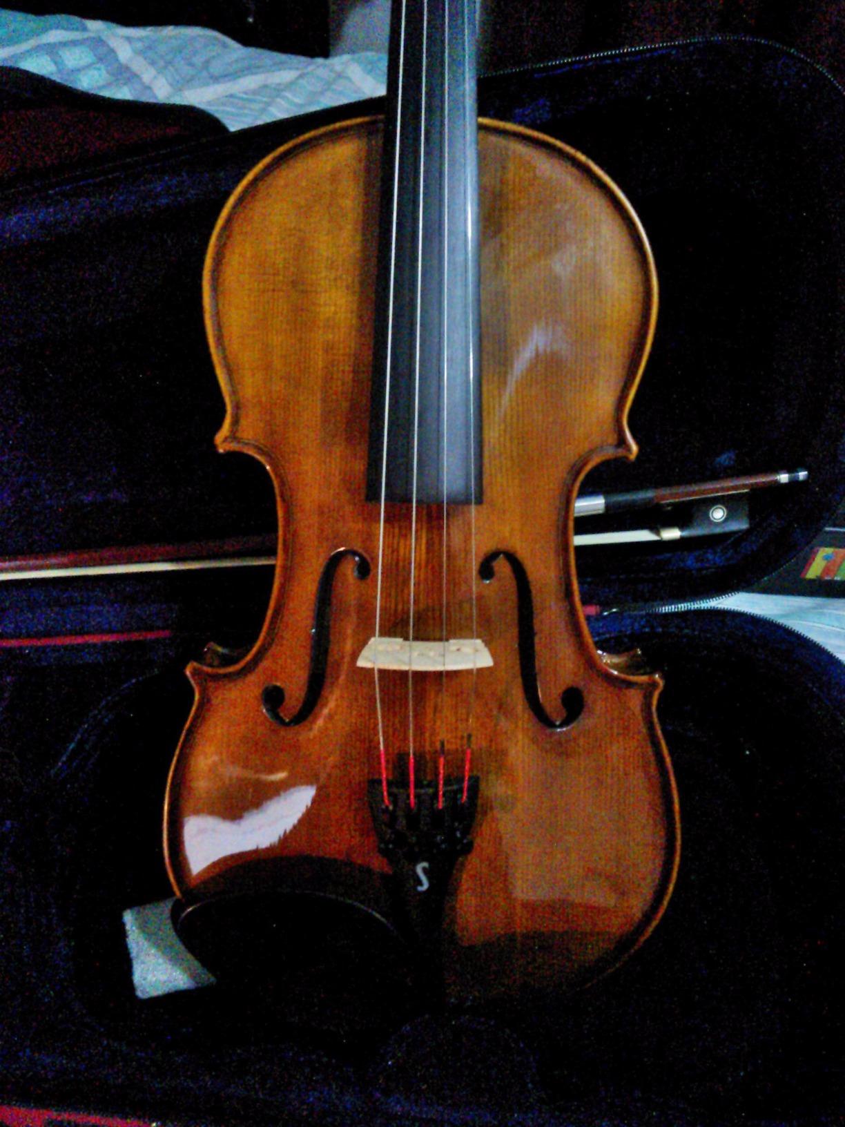 Stentor 1500 4/4 Violin customer photo 2