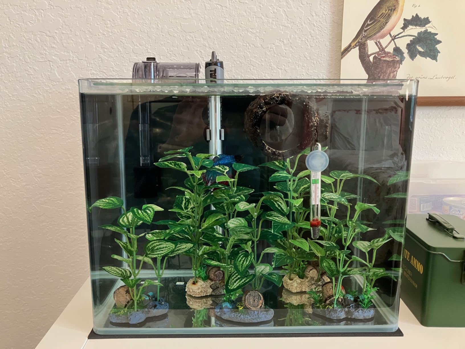 Fluval M 200-Watt Submersible Aquarium Heater - High-Performance, Compact Heating with Mirror Technology customer photo 1