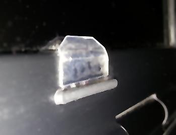 3M Privacy Filter for 14in Laptop, 16:9, PF140W9B customer photo 1