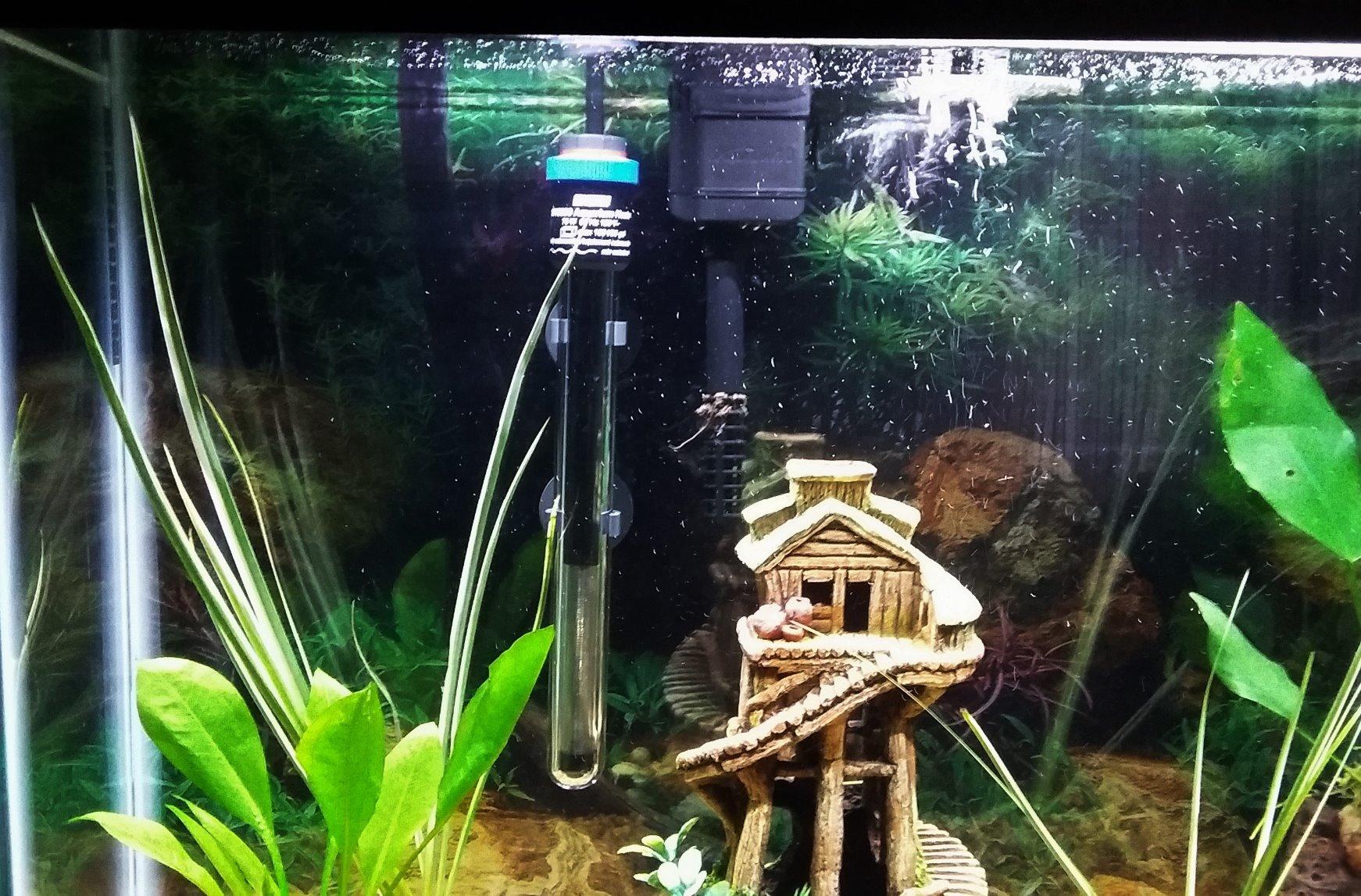 Eheim Jager Aquarium Thermostat Heater 75W customer photo 1