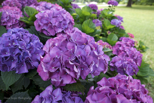 Rokinon 14mm f/2.8 IF ED Super Lens for Canon EF customer photo 1