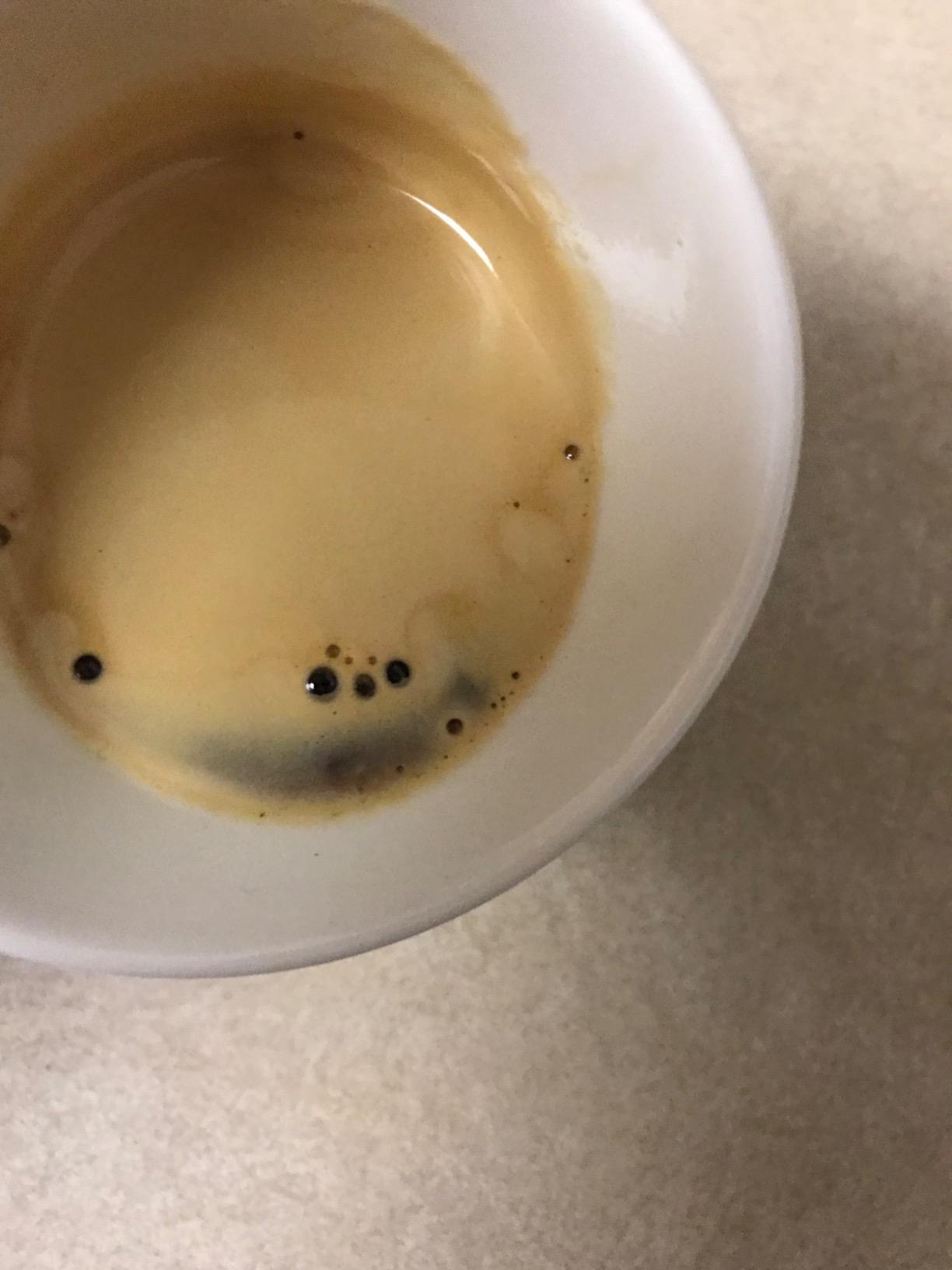 Gaggia Brera Super-Automatic Espresso Machine, Small, 40 fluid ounces, Silver customer photo 1