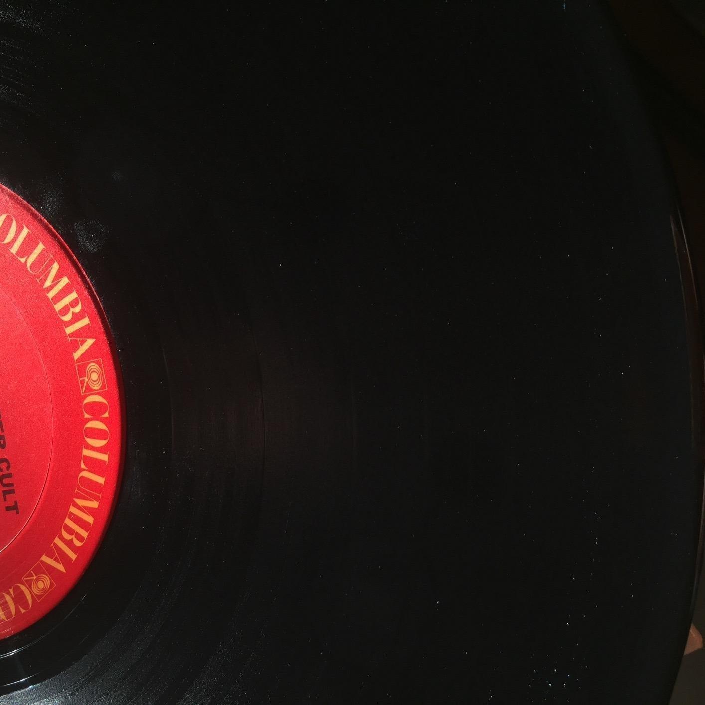 Spin-Clean Vinyl Record Washer Deluxe Kit | Record Cleaning Kit | Vinyl Record Cleaner | Includes Five Extra Drying Cloths, Extra 32oz. Fluid & Extra Brushes | Perfect for 33, 45 & 78 RPM customer photo 2