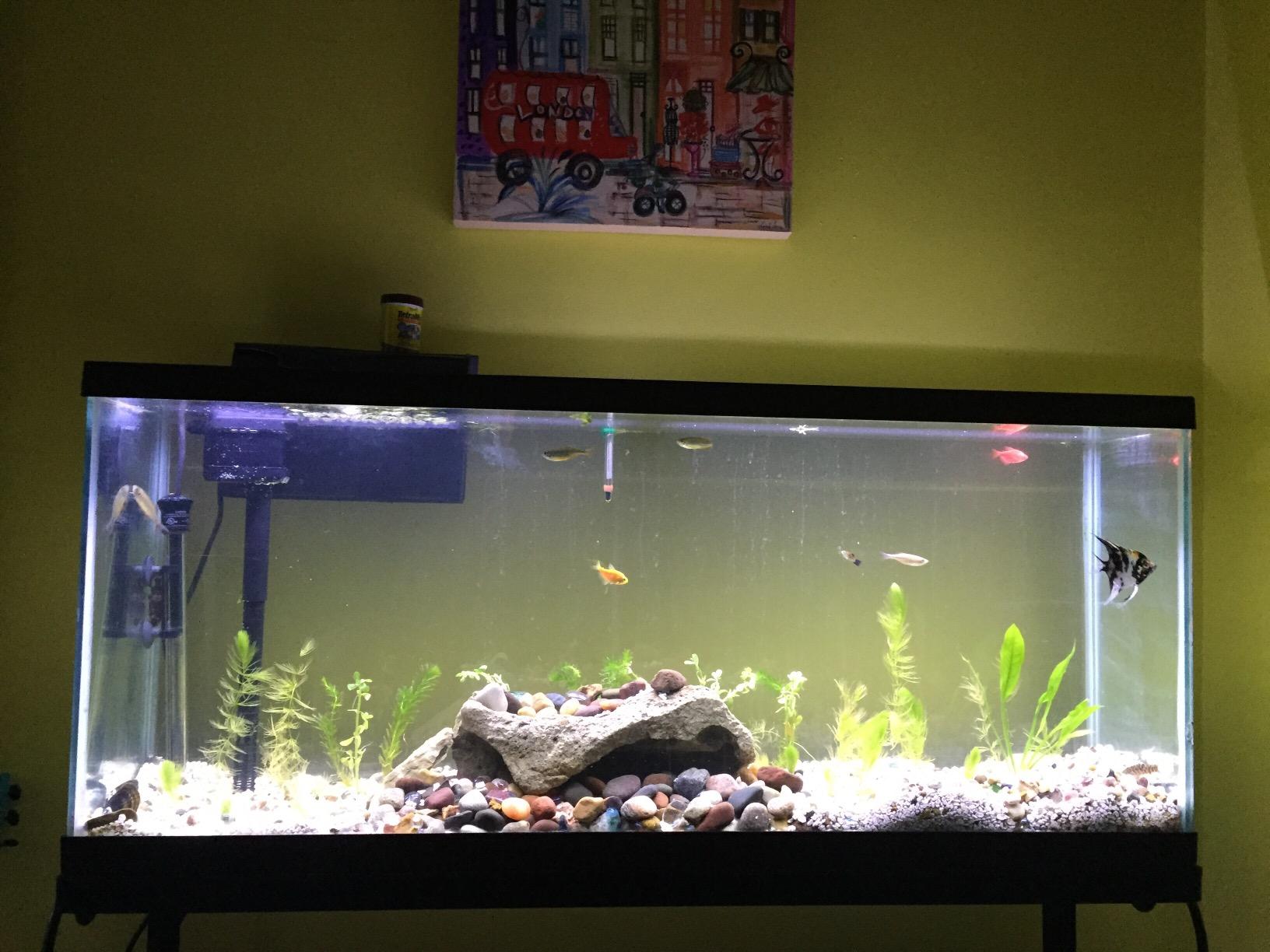 Aqueon QuietFlow 75 LED PRO Aquarium Fish Tank Power Filter For Up To 90 Gallon Aquariums customer photo 2